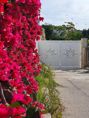 B&B La Rosa dei Venti Brindisi